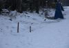OeBK Home Page Winter 2023-4